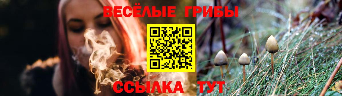 Псилоцибиновые грибы Cubensis Красный Сулин